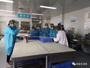 隴南生活網(wǎng)團(tuán)隊走進(jìn)成縣優(yōu)點食品廠，探索乳制品背后的匠心與創(chuàng)新