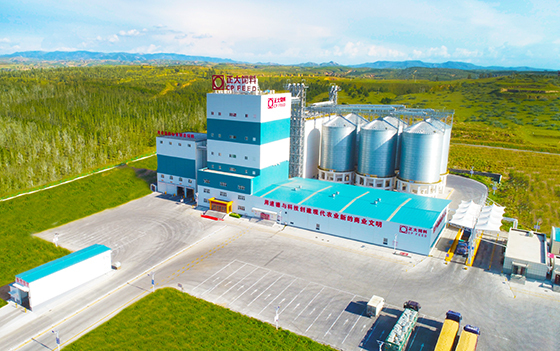 正大飼料（和林）榮獲雙重殊榮 自治區(qū)級重點(diǎn)龍頭企業(yè)與“綠色工廠”稱號