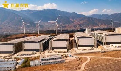 智匯農牧，悅見未來 巨星農牧德昌生豬繁育一體化項目開放日盛大啟幕